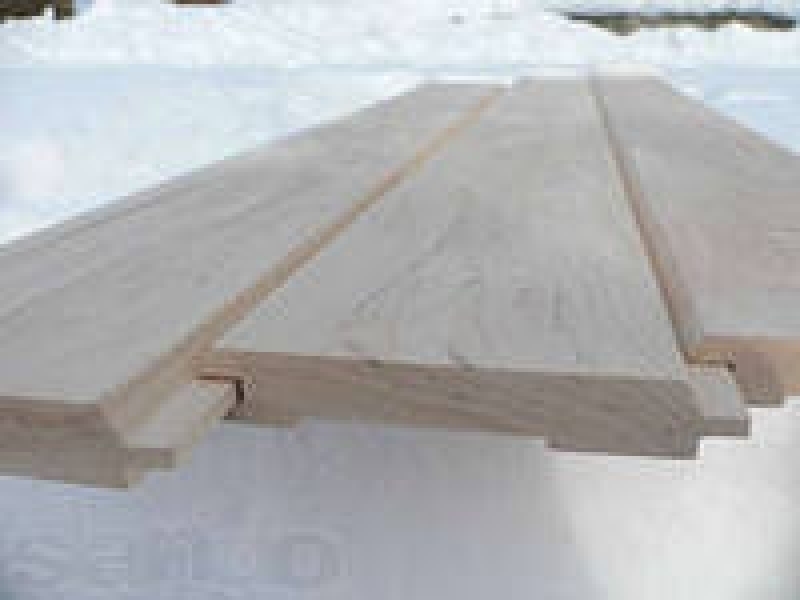 Вагонка., евровагонка клен